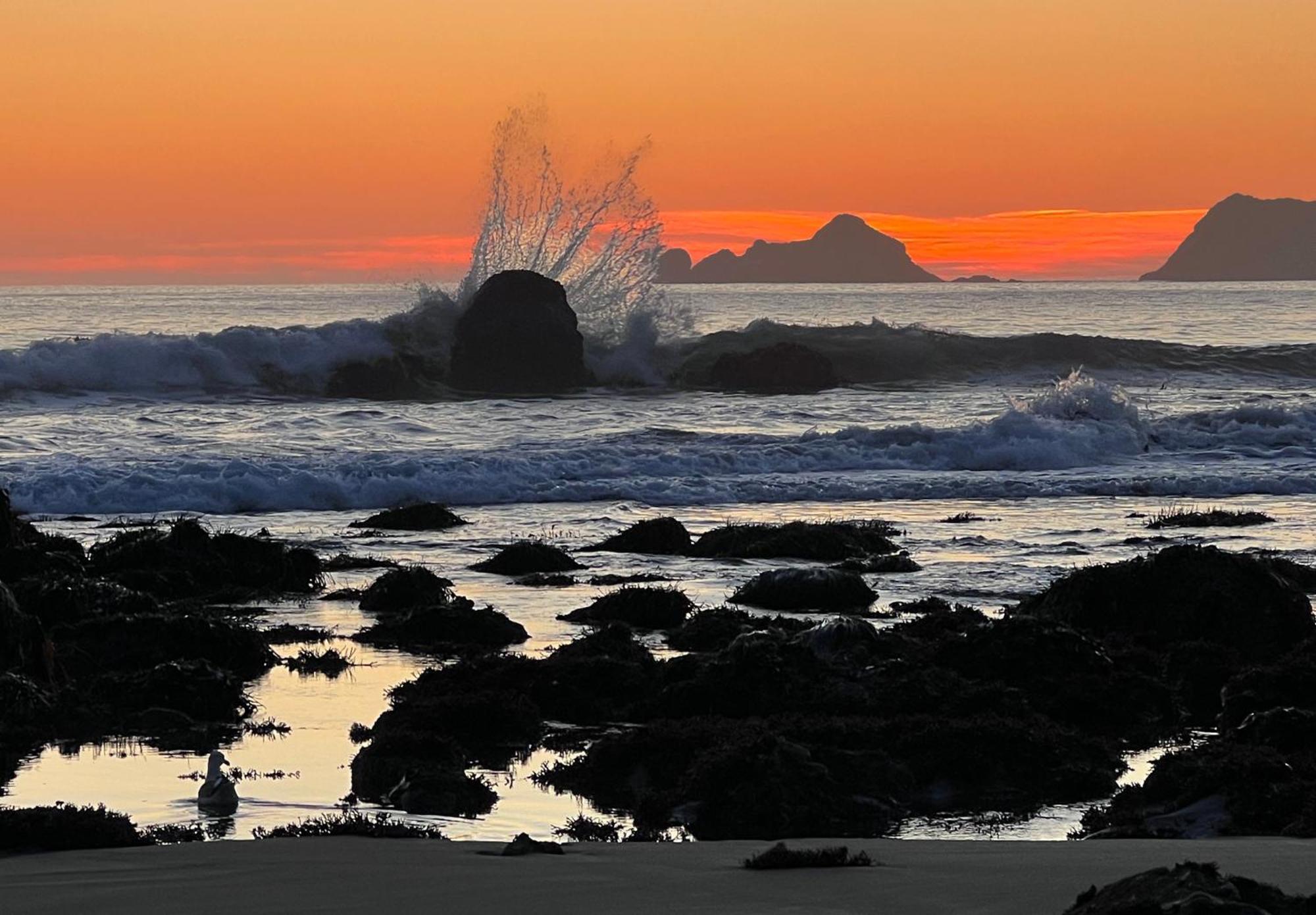The Cove At Port Orford - 5 Ocean Front Suites Eksteriør bilde