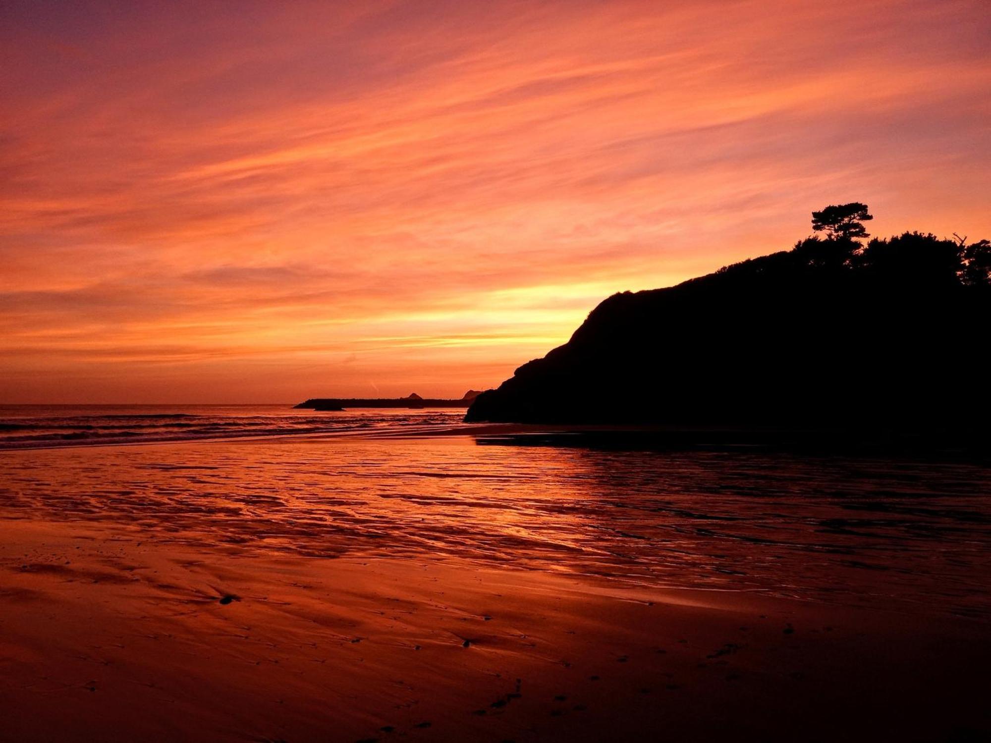 The Cove At Port Orford - 5 Ocean Front Suites Eksteriør bilde