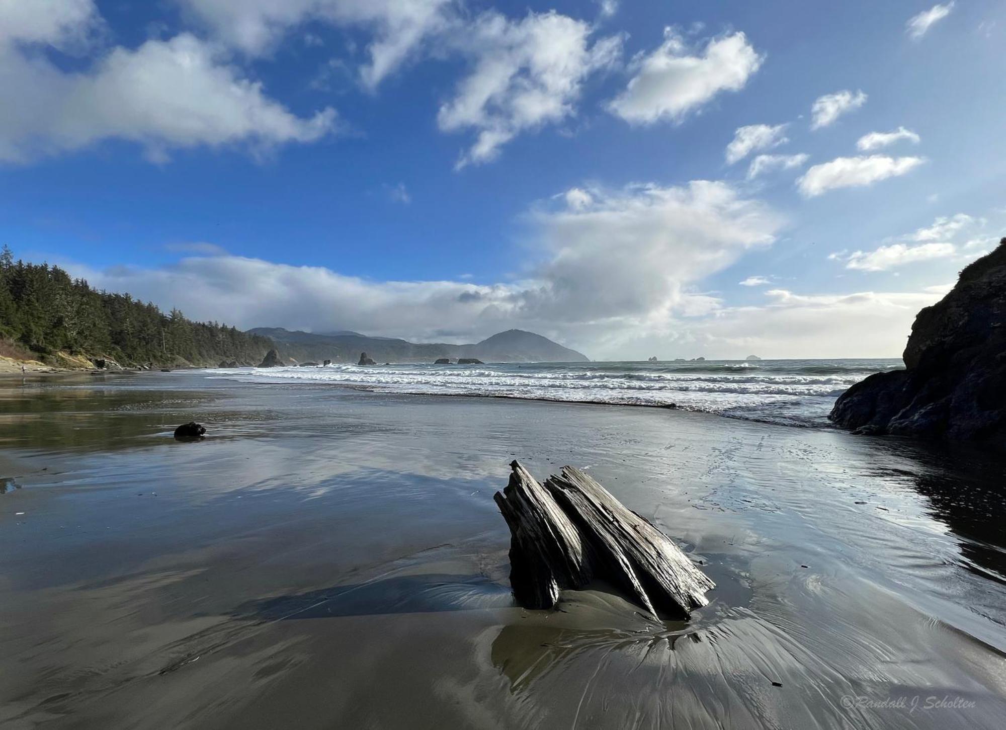 The Cove At Port Orford - 5 Ocean Front Suites Eksteriør bilde