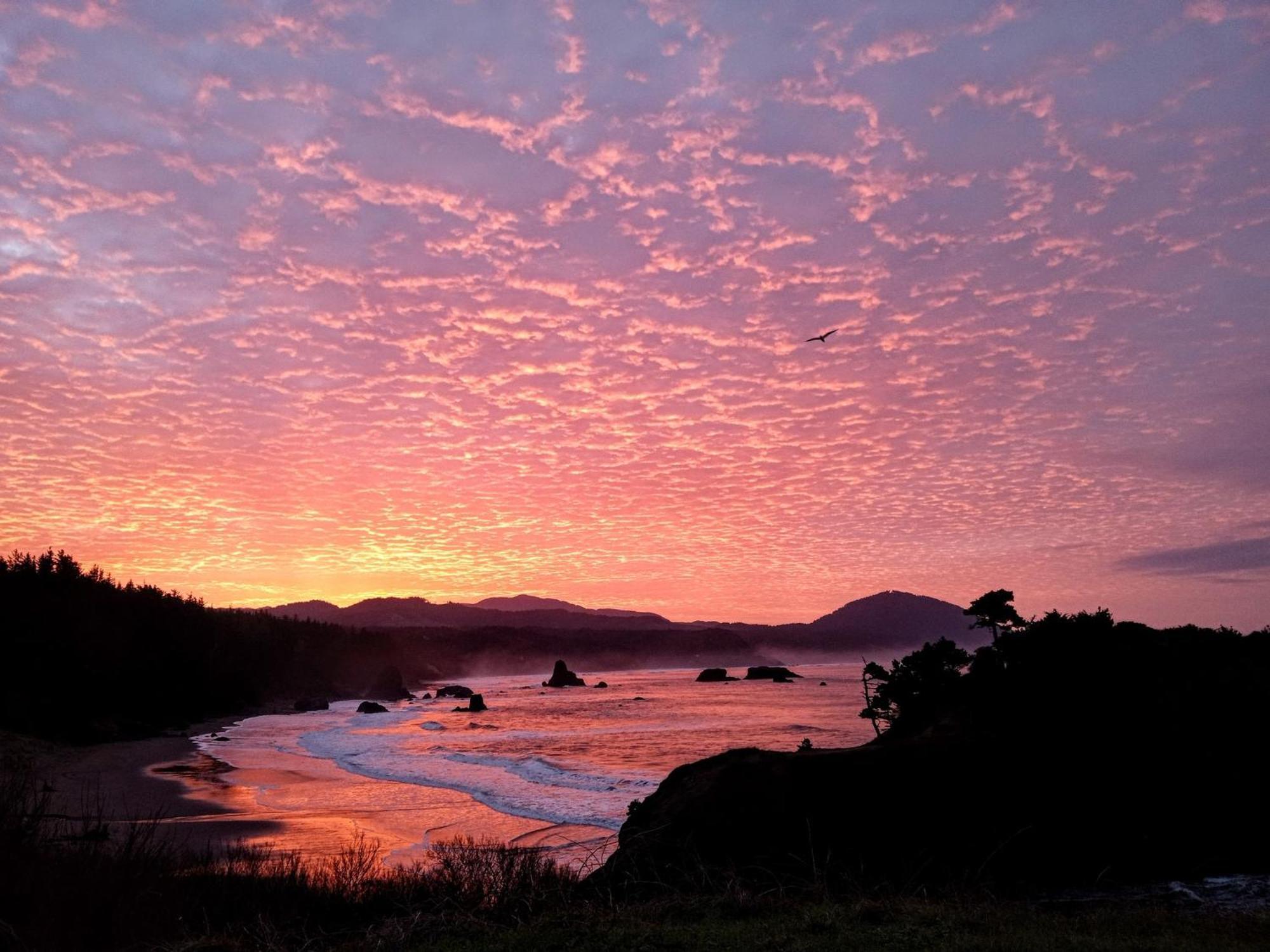The Cove At Port Orford - 5 Ocean Front Suites Eksteriør bilde