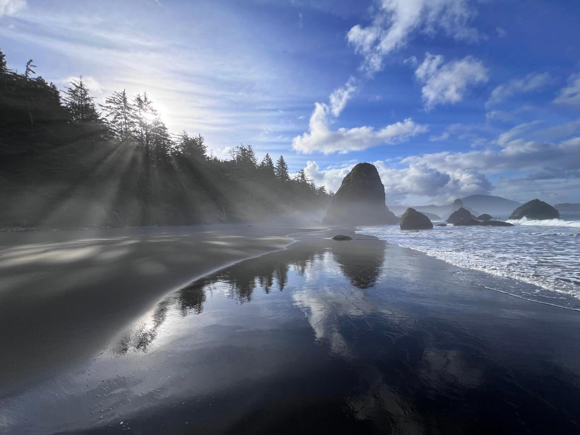 The Cove At Port Orford - 5 Ocean Front Suites Eksteriør bilde